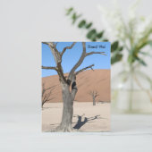 Dead Vlei、ナミビアはがき ポストカード (スタンド正面)