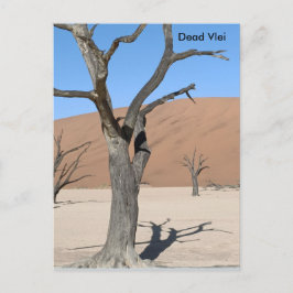 Dead Vlei、ナミビアはがき ポストカード