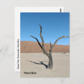 Dead Vlei、ナミビアはがき ポストカード (正面/裏面)