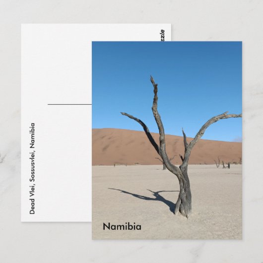 Dead Vlei、ナミビアはがき ポストカード (正面/裏面)