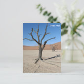 Dead Vlei、ナミビアはがき ポストカード (スタンド正面)