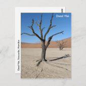 Dead Vlei、ナミビアはがき ポストカード (正面/裏面)