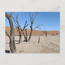 Dead Vlei、ナミビアはがき