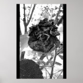 deadly ポスター (正面)