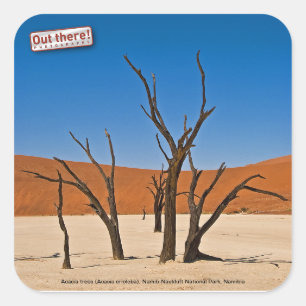 Deadvlei スクエアシール
