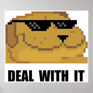 Deal With It ポスター
