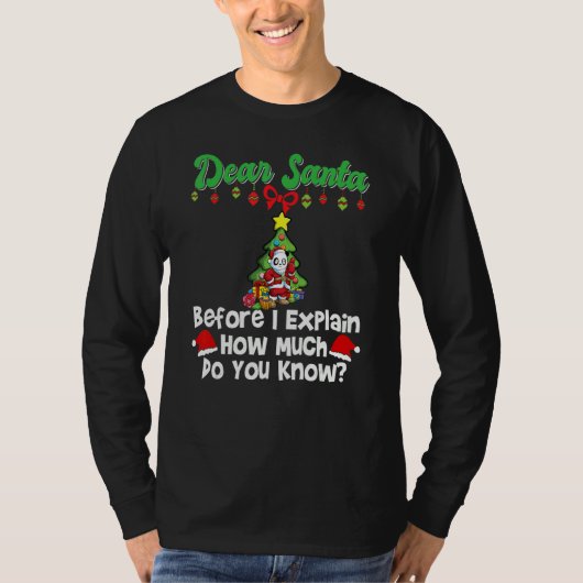 Dear Santa Before I Explain How Much Do You Know_1 Tシャツ (正面)