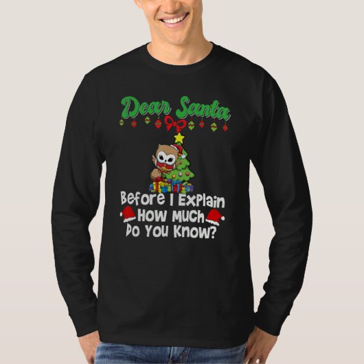 Dear Santa Before I Explain How Much Do You Know_1 Tシャツ (正面)