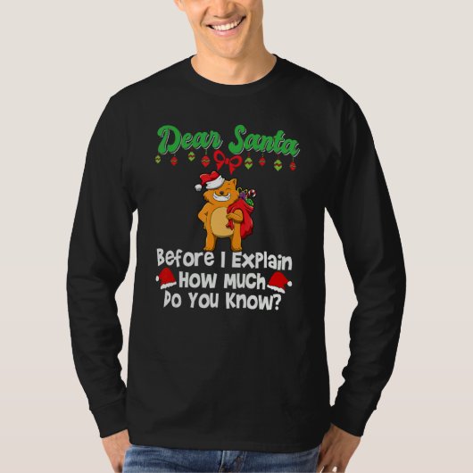 Dear Santa Before I Explain How Much Do You Know_3 Tシャツ (正面)