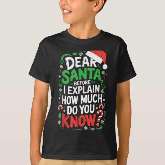 Dear Santa Before I Explain How Much Do You Know S Tシャツ (正面)