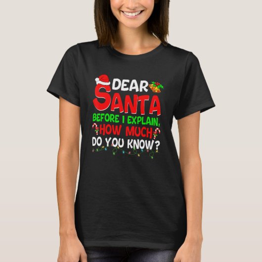 Dear Santa Before I Explain How Much Do You Know   Tシャツ (正面)