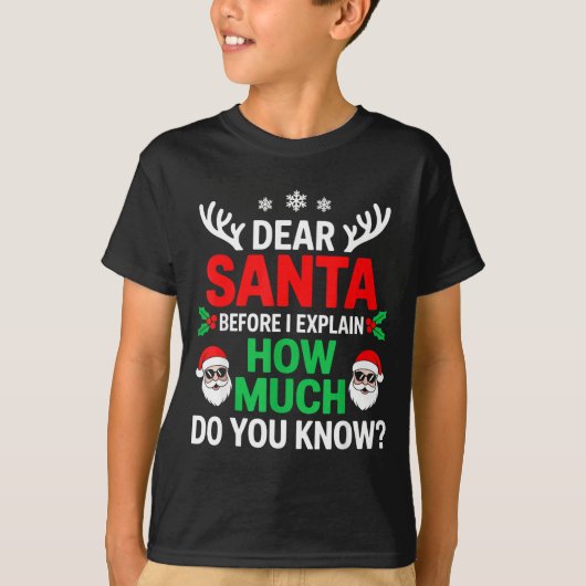 Dear Santa Before I Explain How Much Do You Know  Tシャツ (正面)