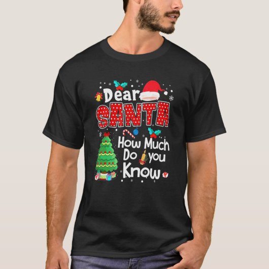 Dear Santa How Much Do You Know Dear Santa Tシャツ (正面)