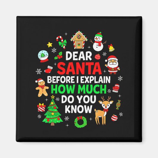 Dear Santa I Can Explain 楽しいクリスマスマッチング マグネット (正面)