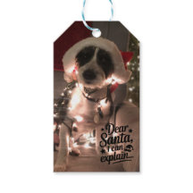 Dear Santa I can explain (犬)