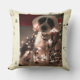 Dear Santa I can explain (犬) クッション