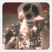 Dear Santa I can explain (犬) スクエアシール (正面)