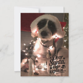 Dear Santa I can explain (犬) ポストカード