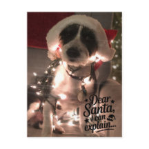 Dear Santa I can explain (犬)