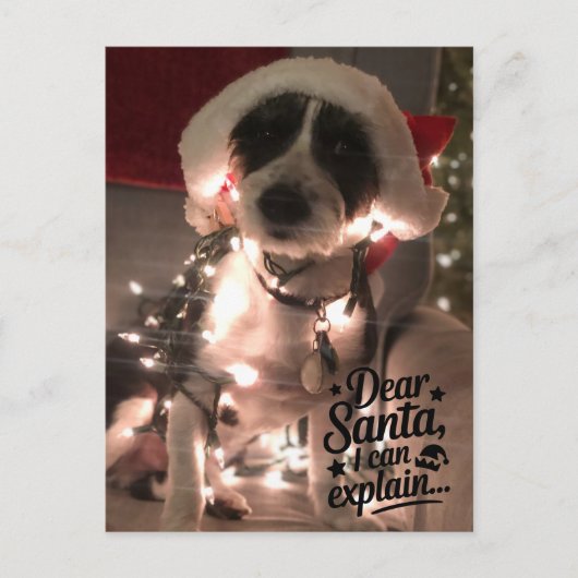 Dear Santa I can explain (犬) ポストカード (正面)