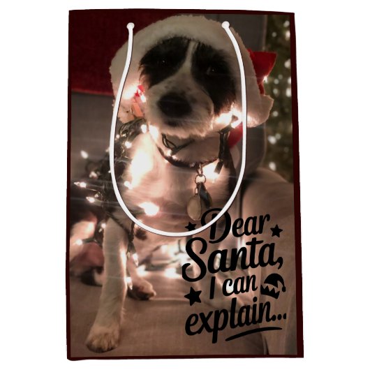 Dear Santa I can explain (犬) ミディアムペーパーバッグ (正面)