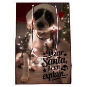 Dear Santa I can explain (犬) ミディアムペーパーバッグ (裏面)