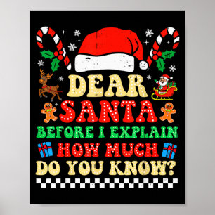 Dear Santa I Can Explain 面白いクリスマス Xmas スクエア ポスター