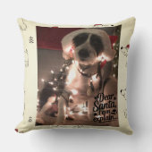 Dear Santa I can explain (dog) クッション (正面)