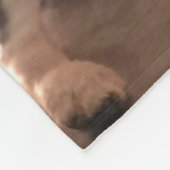 Dear Santa I can explain (dog) フリースブランケット (角)