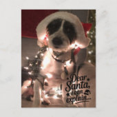 Dear Santa I can explain (dog) ポストカード (正面)