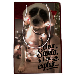 Dear Santa I can explain (dog) ミディアムペーパーバッグ