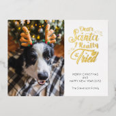 Dear Santa I tried pet dog photo fun Christmas 箔シーズンポストカード (正面)