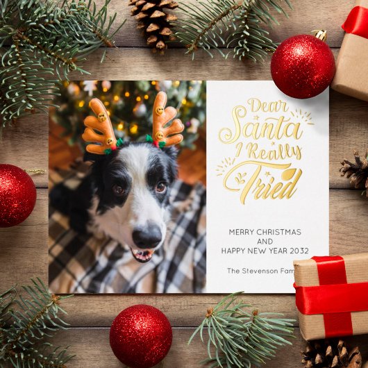 Dear Santa I tried pet dog photo fun Christmas 箔シーズンポストカード