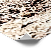 Death Valley National Park ポスター (角)