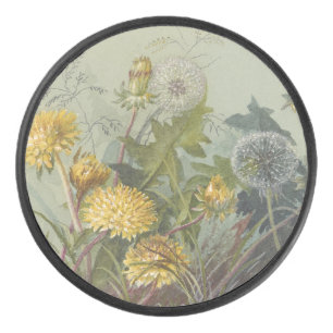 Deborah Griscom Passmore Water Color Album Pl.60 アイスホッケーパック