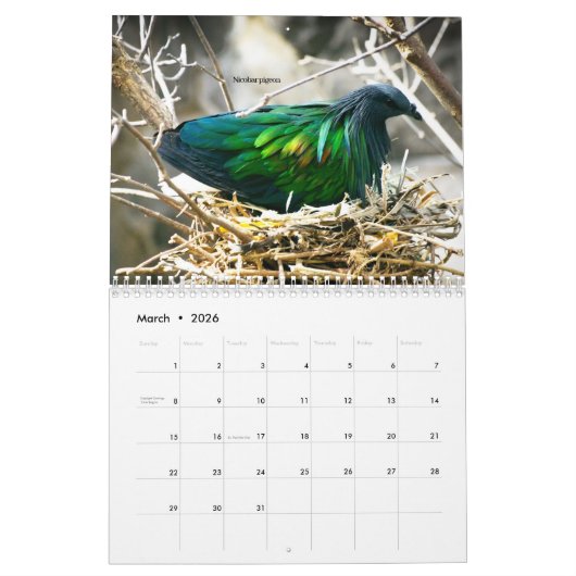 DeborahGraphix 2026 Calendar カレンダー (3月 2026)