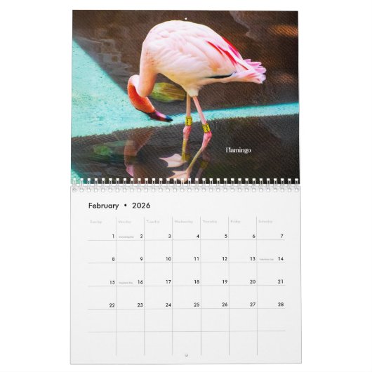 DeborahGraphix 2026 Calendar カレンダー (2月 2026)