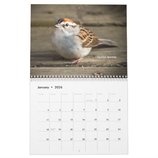 DeborahGraphix 2026 Calendar カレンダー (1月 2026)