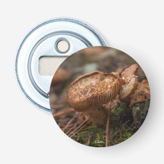 Décapsuleur aimanté, photo de champignons 栓抜き (正面)