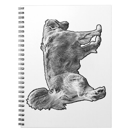 December Lists Golden ノートブック (正面)