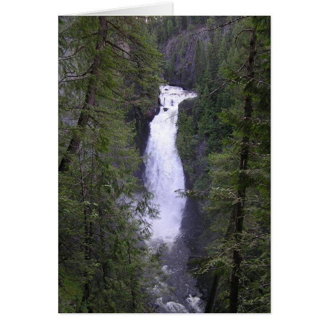 deceptionfalls (正面)