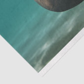 Decompage海管理ファミリ 薄葉紙 (詳細)