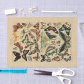 Decompage紙10"x15" -ヴィンテージバタフライアート1 薄葉紙 (クラフト)