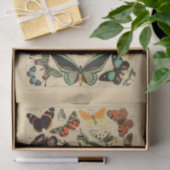 Decompage紙10"x15" -ヴィンテージバタフライアート1 薄葉紙 (ギフト)