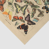 Decompage紙10"x15" -ヴィンテージバタフライアート1 薄葉紙 (詳細)