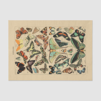 Decompage紙10"x15" -ヴィンテージバタフライアート1 薄葉紙