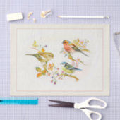 Decompage紙10"x15" - Bird Artヴィンテージ 薄葉紙 (クラフト)