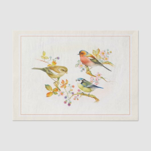 Decompage紙10"x15" - Bird Artヴィンテージ 薄葉紙 (正面)