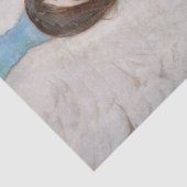 DECOMPAGE :ティッシュペーパー: ABBOTT HANDERSON THAYER 薄葉紙 (詳細)