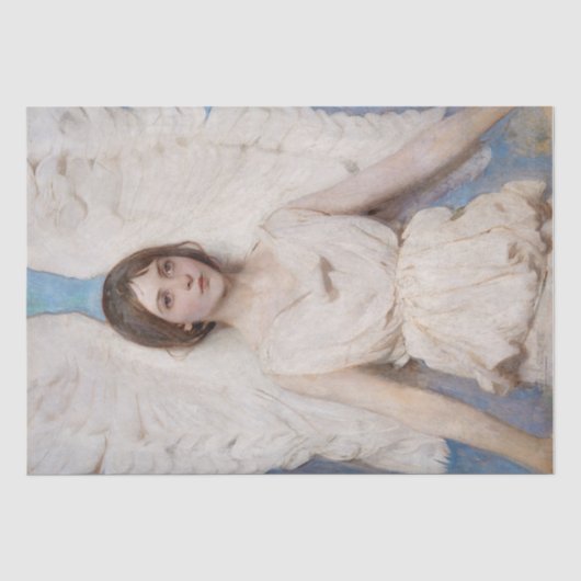 DECOMPAGE :ティッシュペーパー: ABBOTT HANDERSON THAYER 薄葉紙 (正面)